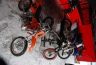 Tegus_Isadepaev_2006_004.jpg